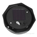 Solar Outdoor Lighting LED Lawn Lights